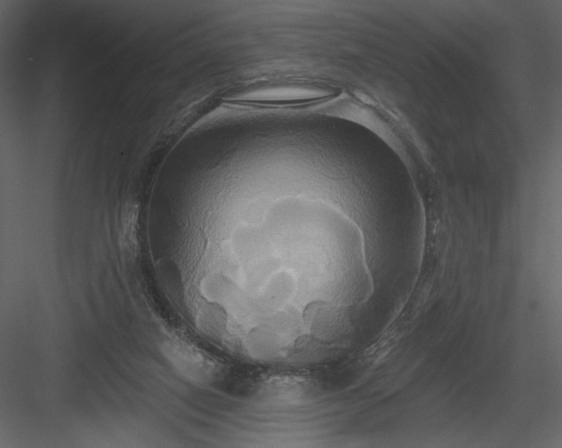 X0000084020066200702232243