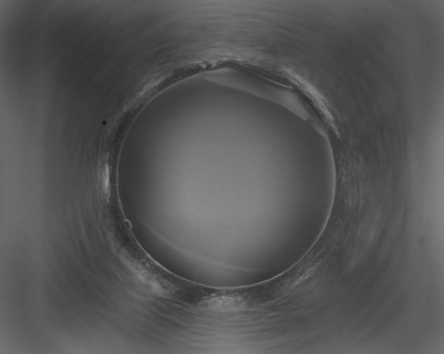 X0000084020067200702232243