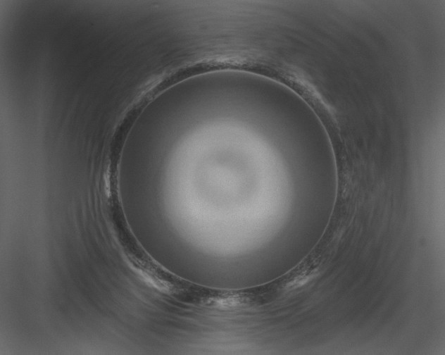 X0000084020068200702232243