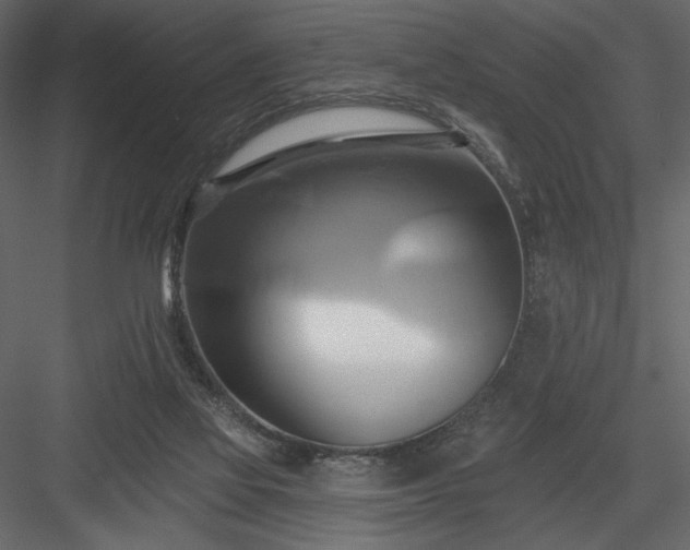 X0000084020069200702232243