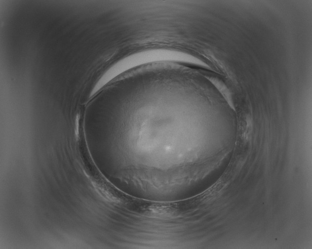 X0000084020070200702232243