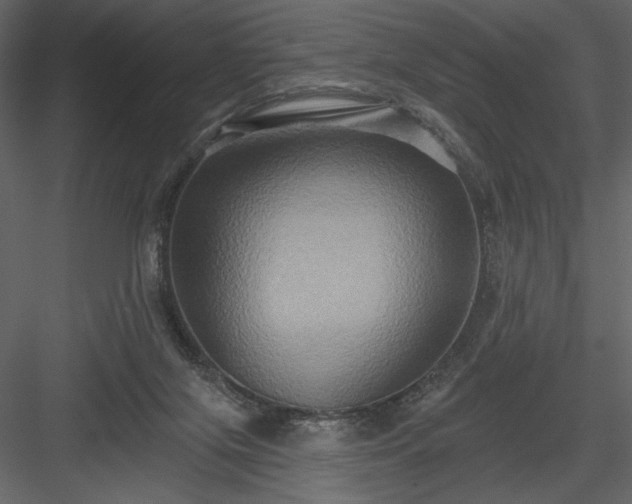 X0000084020071200702232243