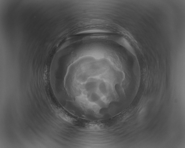 X0000084020073200702232243