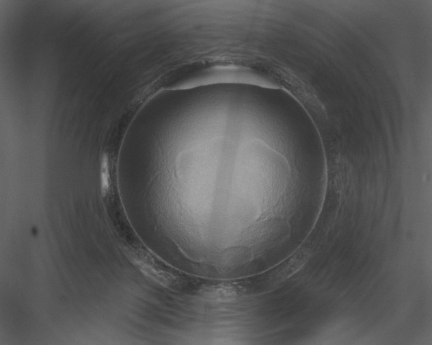 X0000084020075200702232243