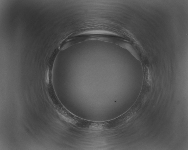 X0000084020076200702232243