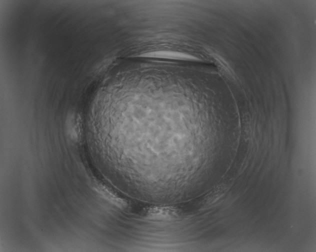 X0000084020077200702232243