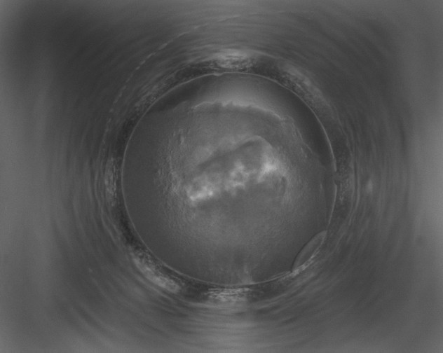 X0000084020078200702232243