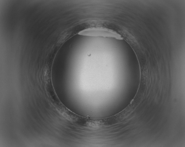 X0000084020079200702232243