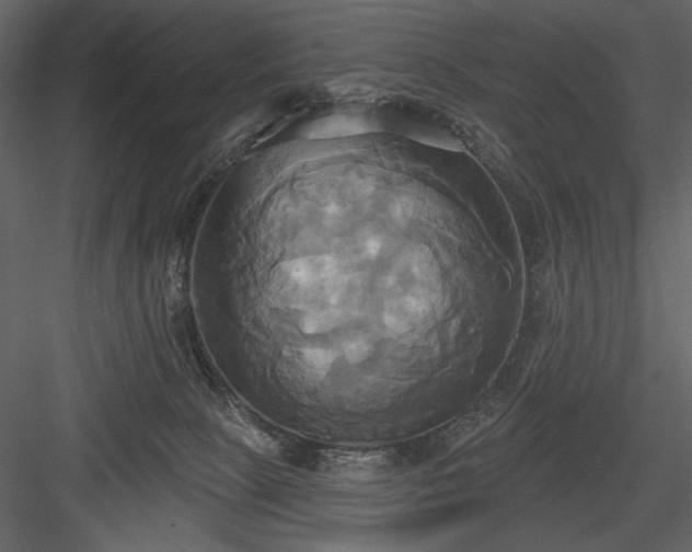 X0000084020081200702232243