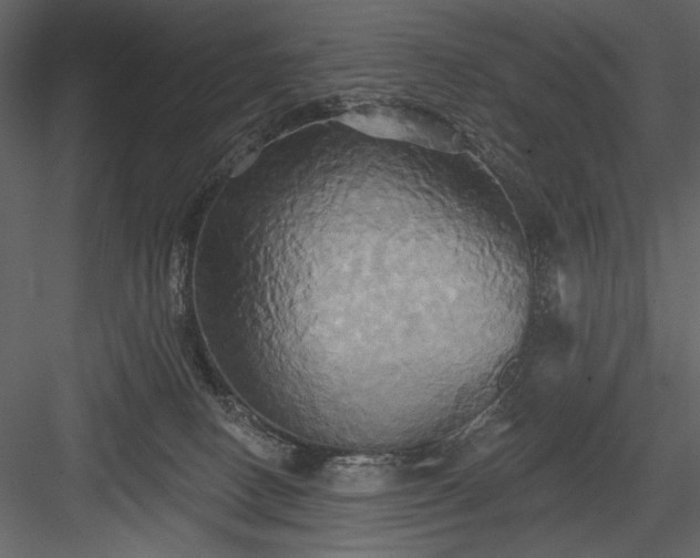 X0000084020082200702232243