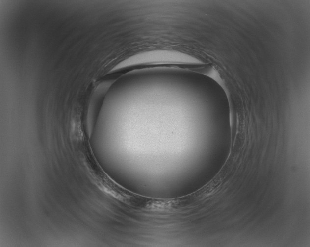 X0000084020084200702232243