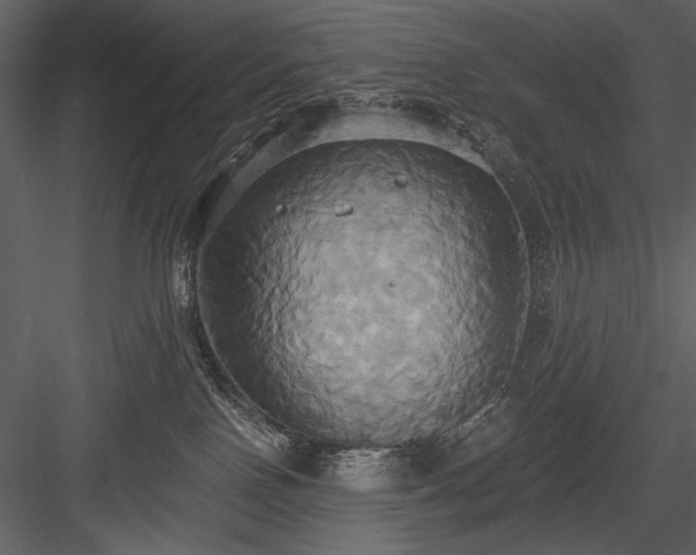 X0000084020090200702232243