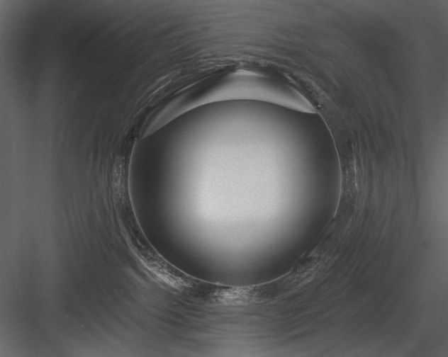 X0000084020092200702232243