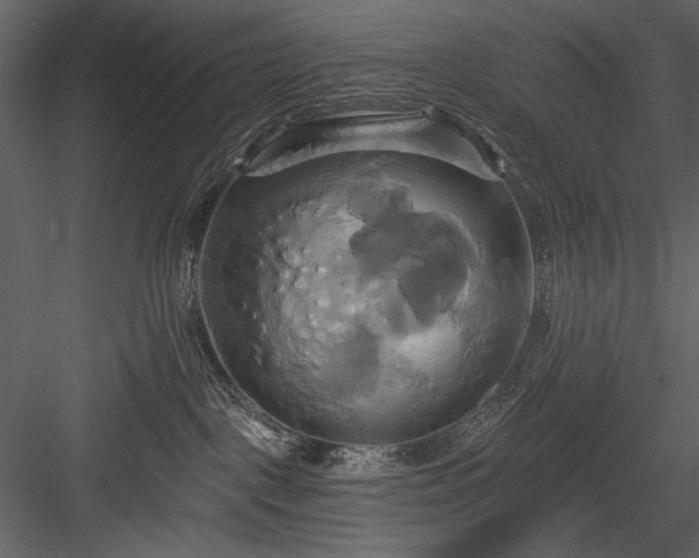 X0000084020093200702232243