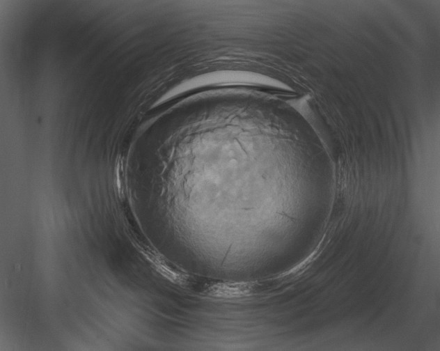 X0000084020094200702232243