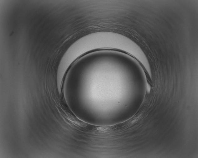 X0000084020095200702232243