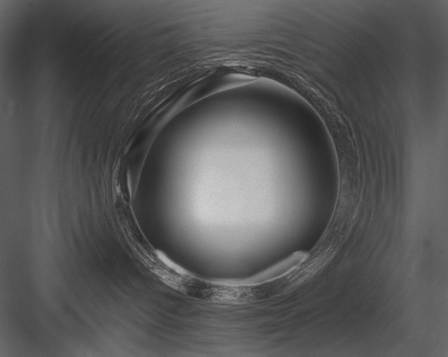 X0000084020096200702232243