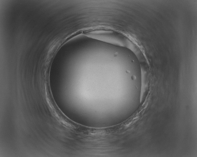 X0000084020097200702232242