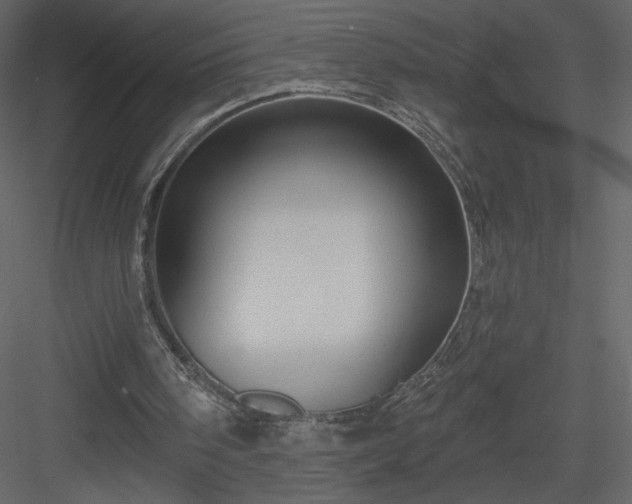 X0000084020098200702232242