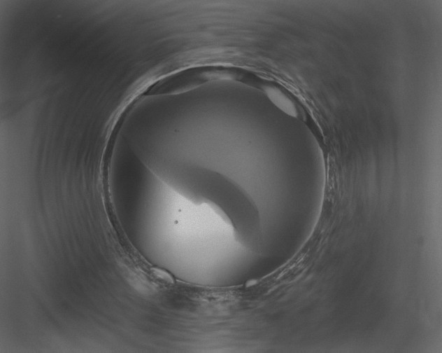 X0000084020099200702232242