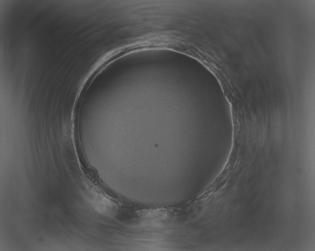 X0000084020100200702232242