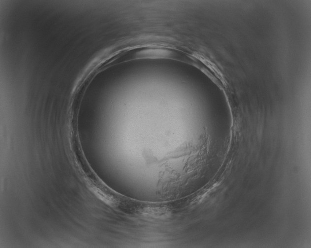 X0000084020101200702232242