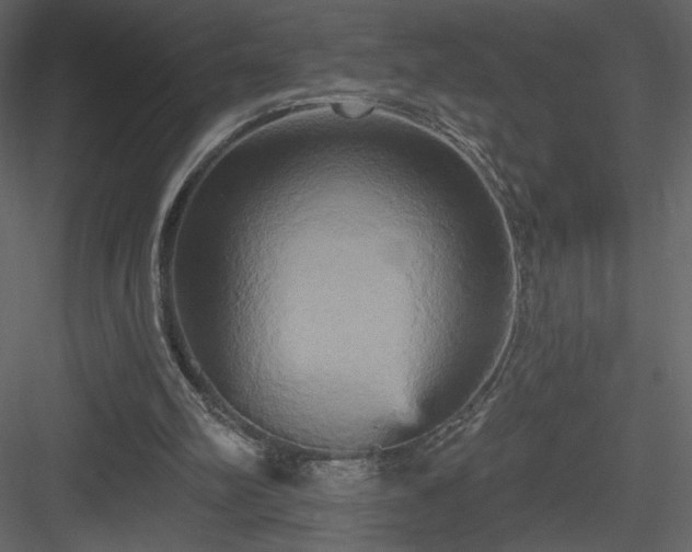 X0000084020102200702232242