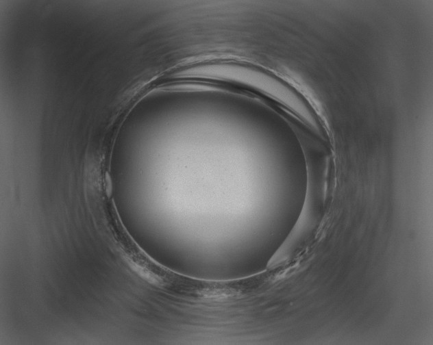 X0000084020105200702232242