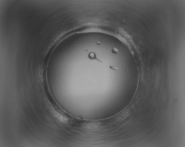 X0000084020106200702232242