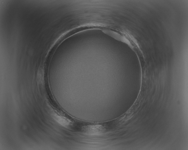 X0000084020108200702232242