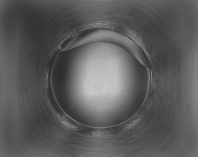 X0000084020109200702232242