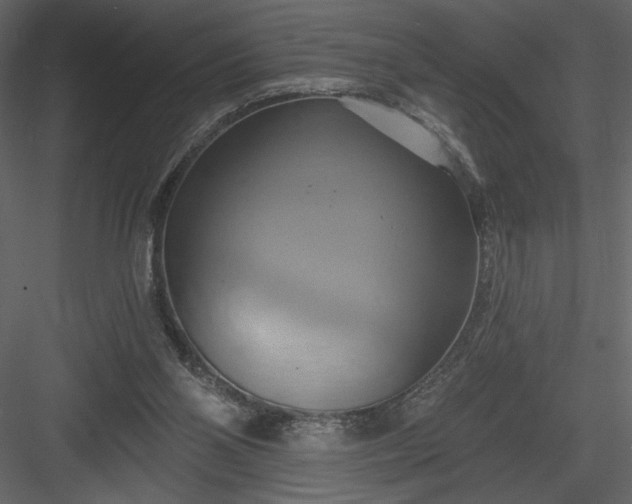 X0000084020110200702232242