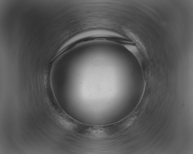 X0000084020113200702232242