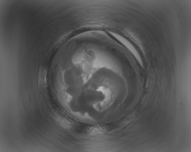 X0000084020115200702232242