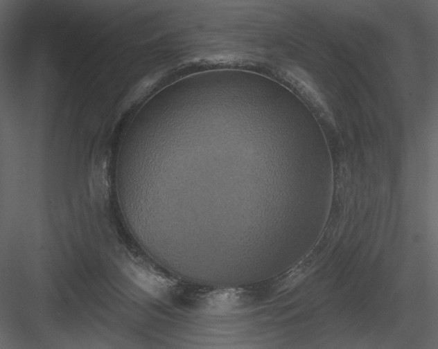 X0000084020116200702232242