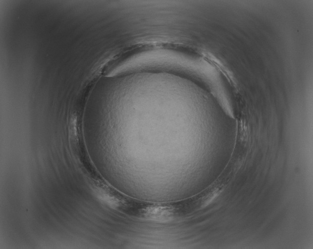 X0000084020117200702232242