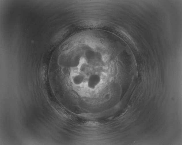 X0000084020119200702232242