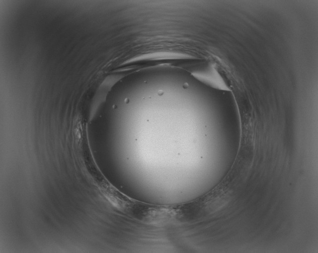 X0000084020125200702232242