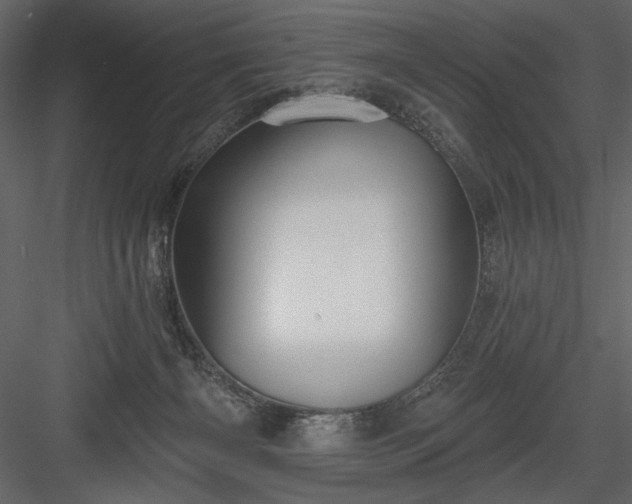 X0000084020126200702232242