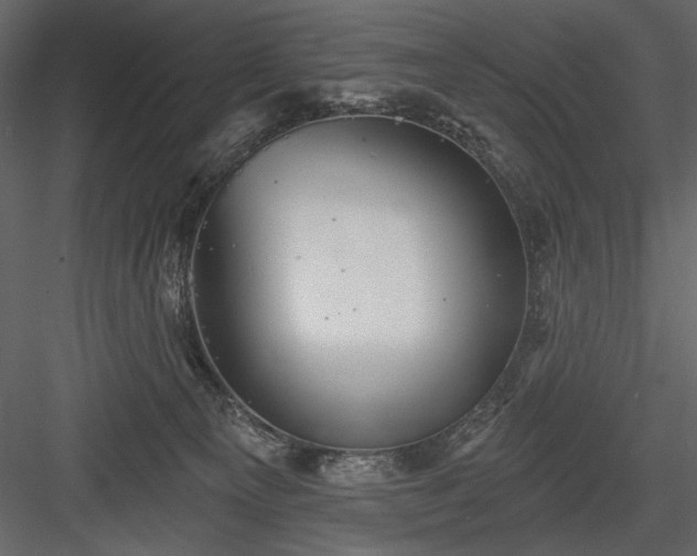 X0000084020129200702232242