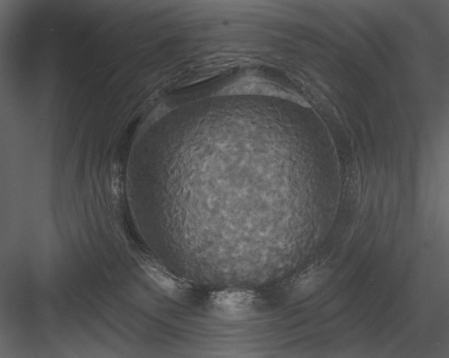 X0000084020135200702232242