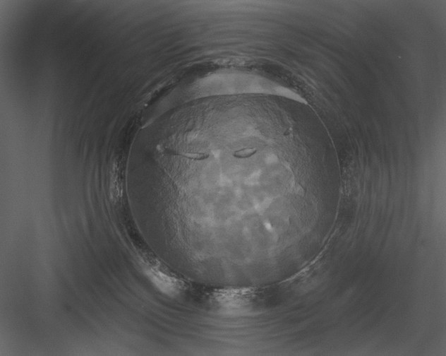 X0000084020136200702232242