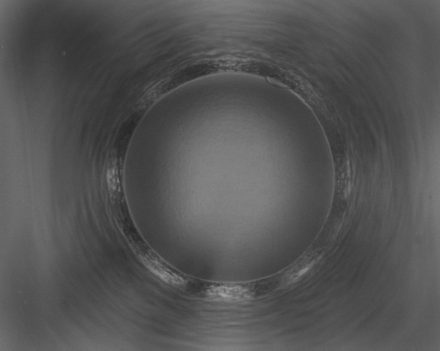 X0000084020137200702232242