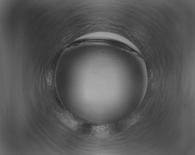 X0000084020139200702232242