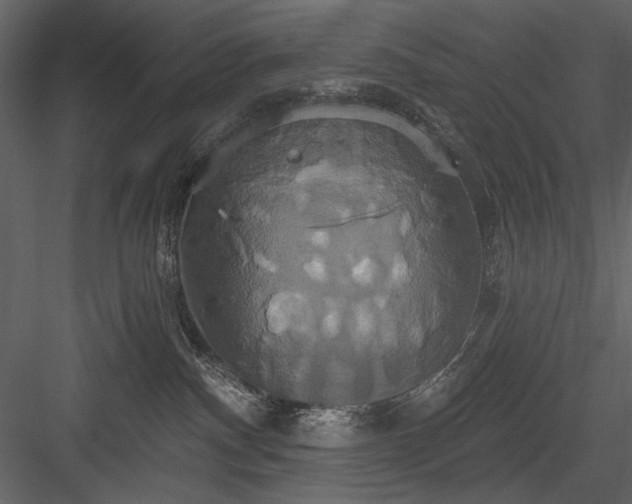 X0000084020140200702232242