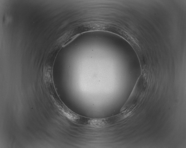 X0000084020141200702232242