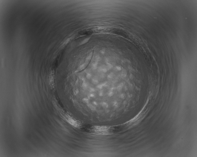 X0000084020144200702232242