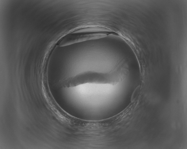 X0000084020145200702232241