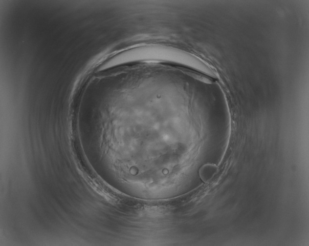 X0000084020149200702232241