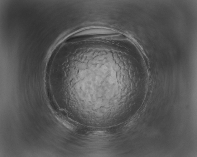 X0000084020151200702232241